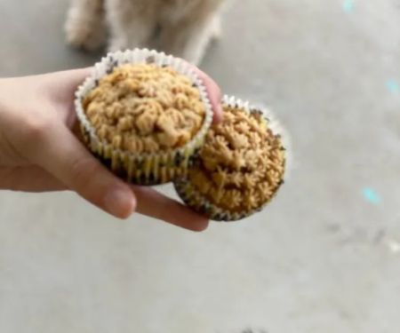 Bonnie's Pup Cakes