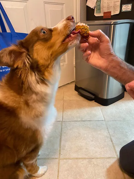 Bonnie's Pup Cakes Picture 6