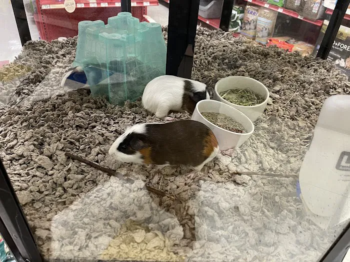 Petco Picture 7