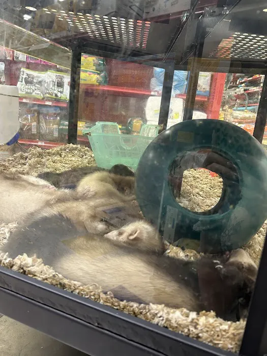 Petco Picture 3
