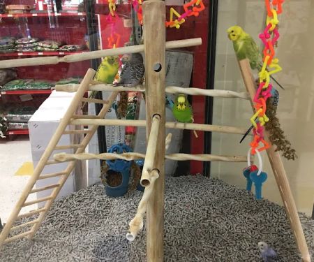 Petco