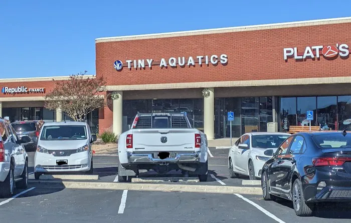 Tiny Aquatics Picture 3
