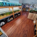 Tiny Aquatics