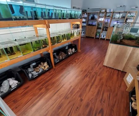 Tiny Aquatics