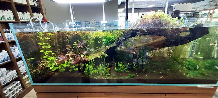 Tiny Aquatics Picture 4