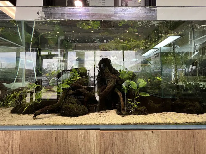 Tiny Aquatics Picture 8