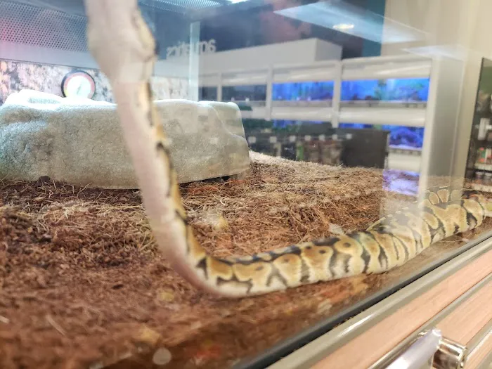 Petco Picture 5