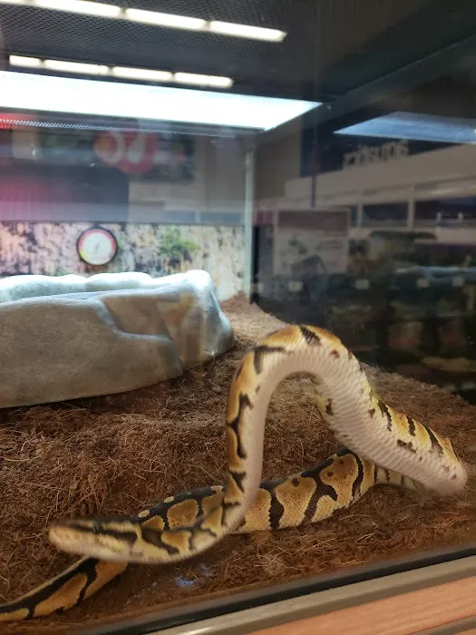 Petco Picture 6