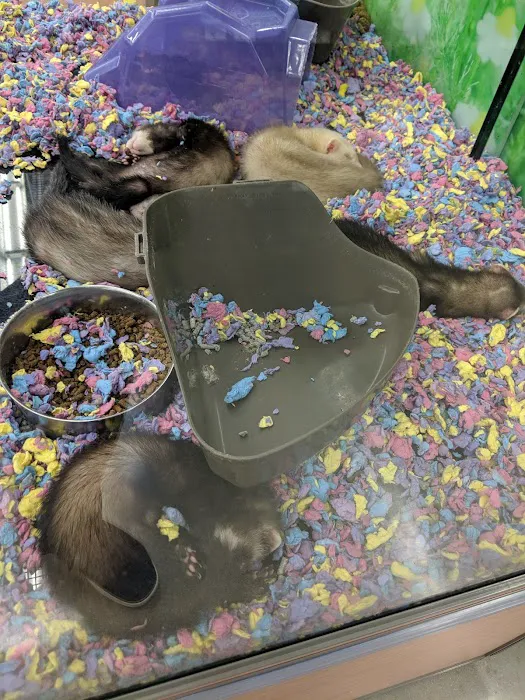 Petco Picture 9