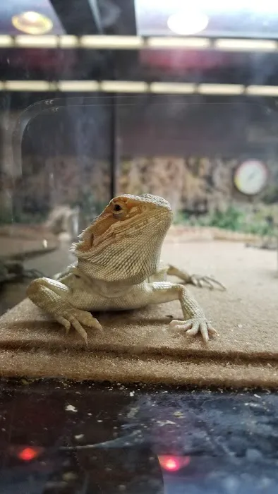 Petco Picture 4