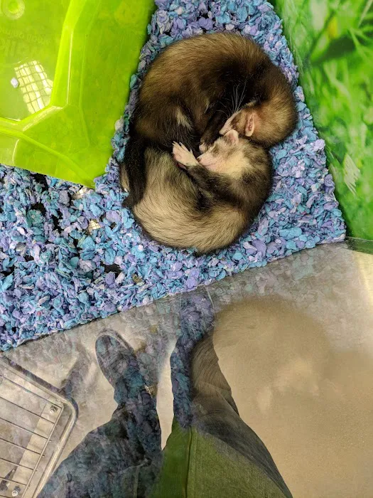 Petco Picture 2