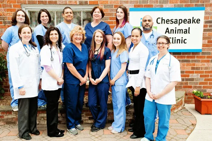 Chesapeake Animal Clinic Picture 2