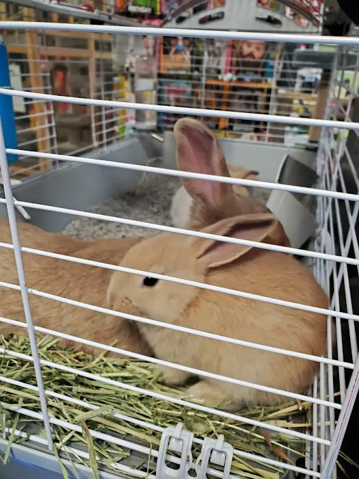 Whole Pets Market Picture 8