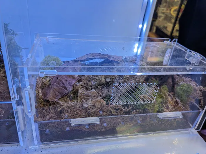 Whole Pets Market Picture 7