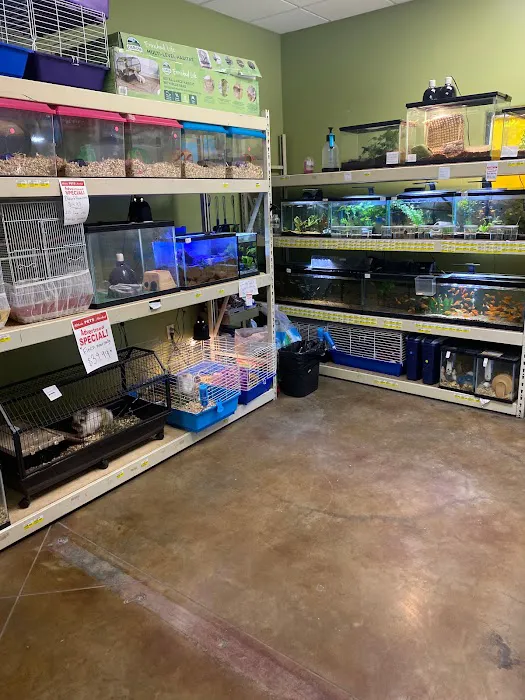 Whole Pets Market Picture 4
