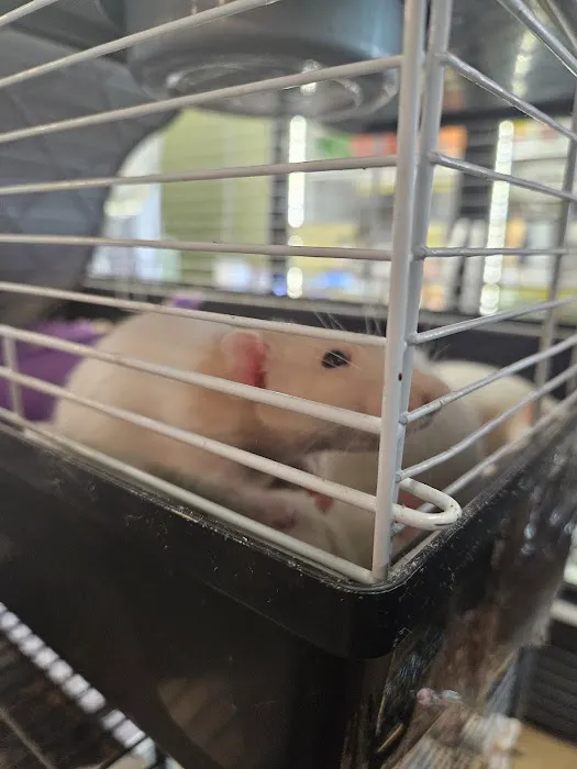 Whole Pets Market Picture 6