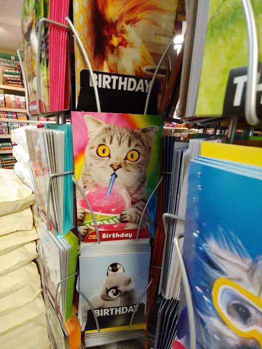 Whole Pets Market Picture 9