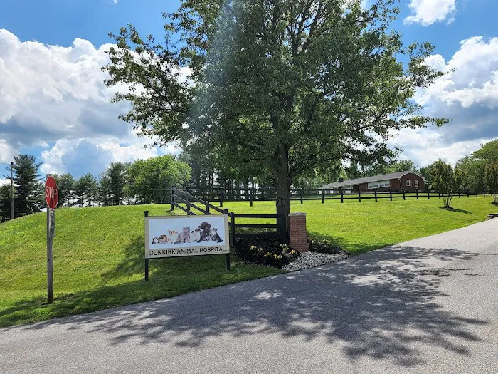 Dunkirk Animal Hospital Picture 9