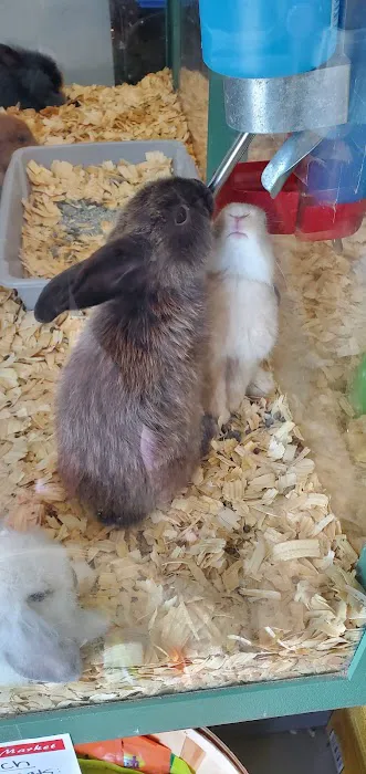 Whole Pets Market Lago Vista Picture 2