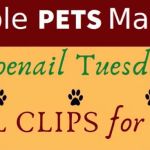 Whole Pets Market Lago Vista