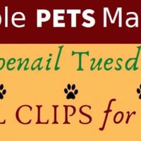 Whole Pets Market Lago Vista ico