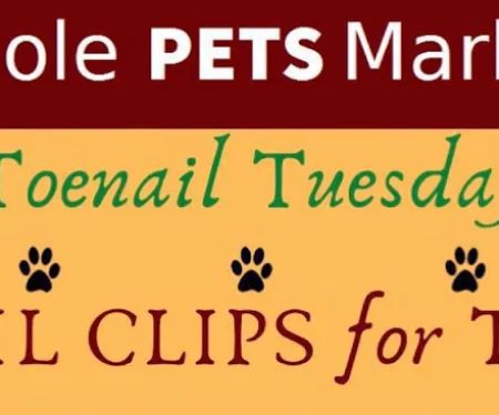 Whole Pets Market Lago Vista