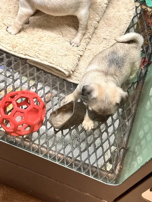 Partners Pet Center Picture 1