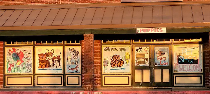 Partners Pet Center Picture 3