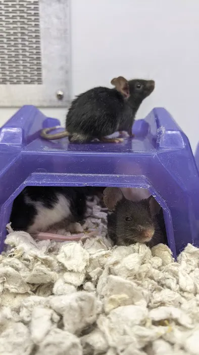 Petco Picture 7