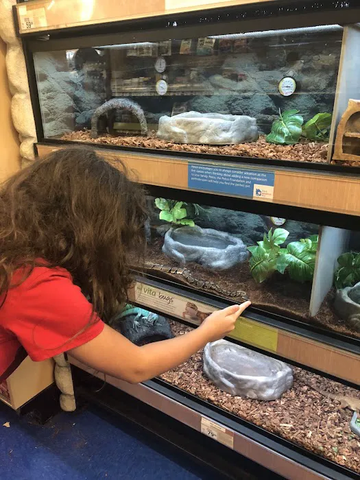 Petco Picture 2