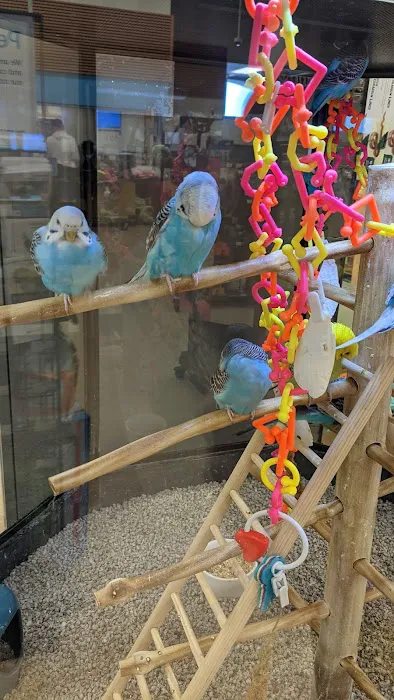 Petco Picture 3