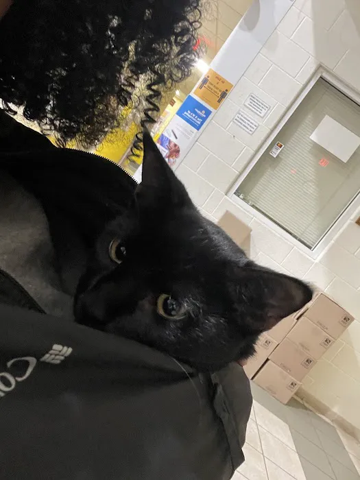 Spay Spot Picture 3