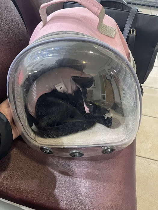 Spay Spot Picture 1