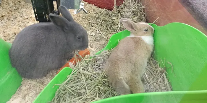Pet Supermarket Picture 2