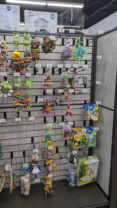 Pet Supermarket Picture 8