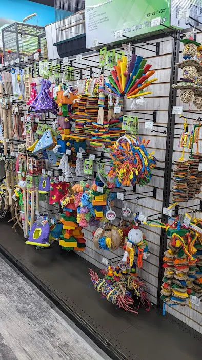 Pet Supermarket Picture 9
