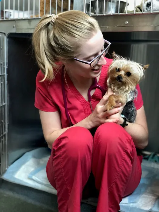 Dogs and Cats Emergency & Specialty Picture 3