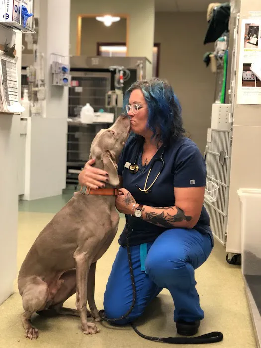 Dogs and Cats Emergency & Specialty Picture 10