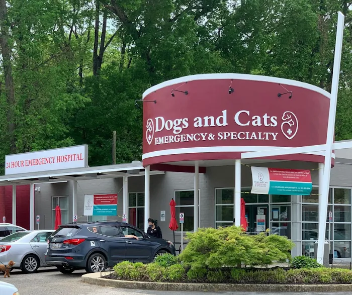 Dogs and Cats Emergency & Specialty Picture 8