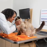 Banfield Pet Hospital ico