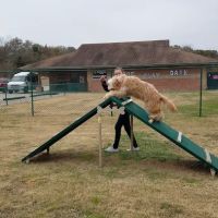 Starmark Pet Products, Inc. ico
