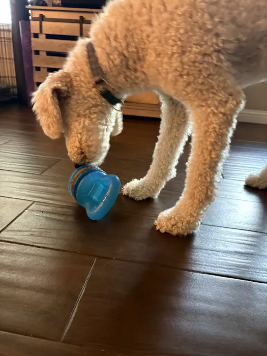Starmark Pet Products, Inc. Picture 2