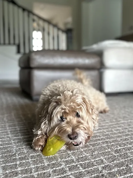 Starmark Pet Products, Inc. Picture 8