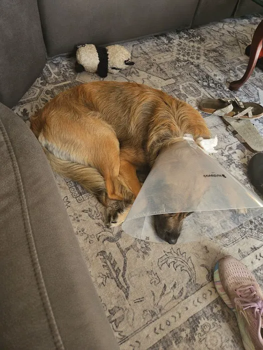 Andrews Veterinary Clinic Picture 8
