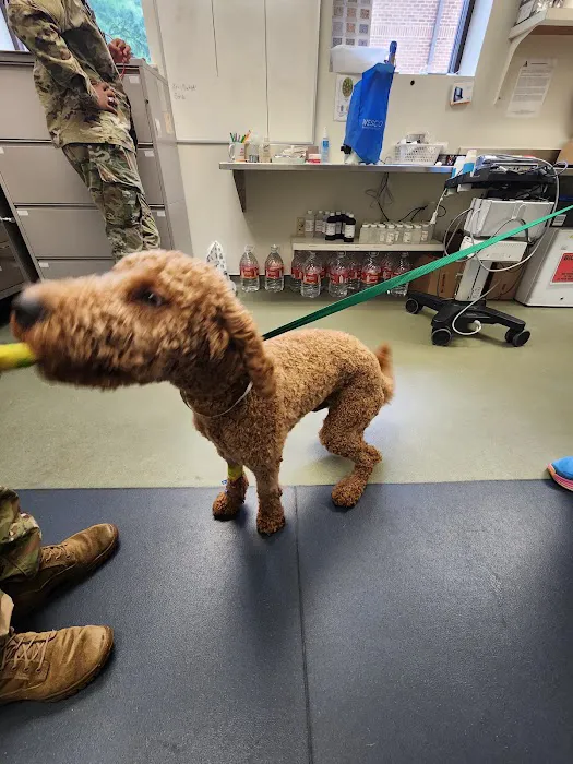 Andrews Veterinary Clinic Picture 5