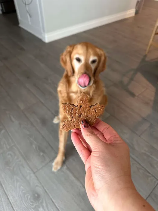 Pup Confections Picture 3