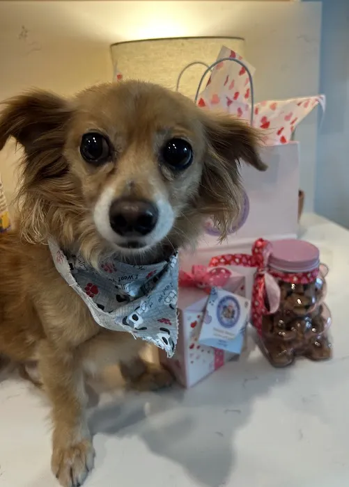 Pup Confections Picture 6
