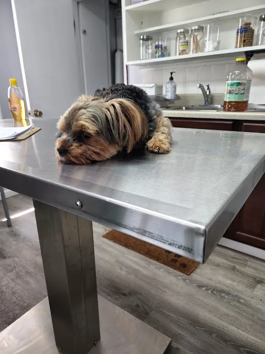 Forestville Veterinary And Bird Hospital Picture 6