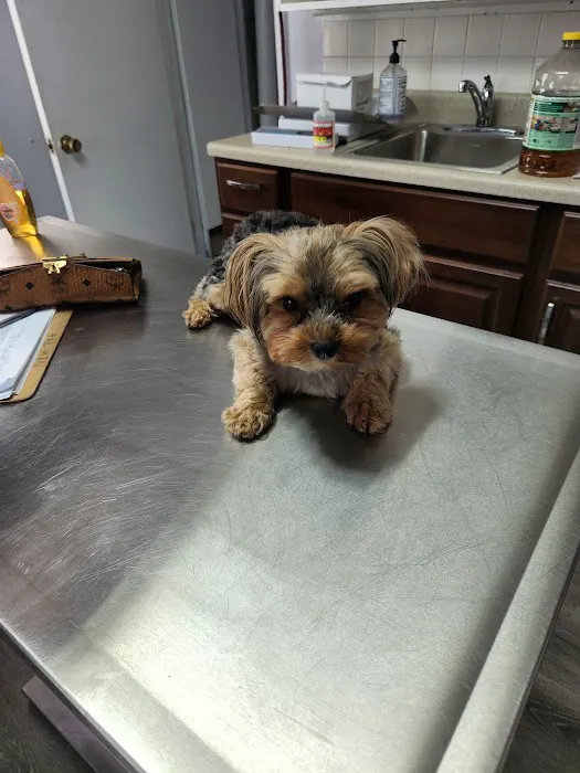 Forestville Veterinary And Bird Hospital Picture 4