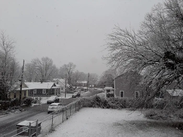 Forestville Veterinary And Bird Hospital Picture 10